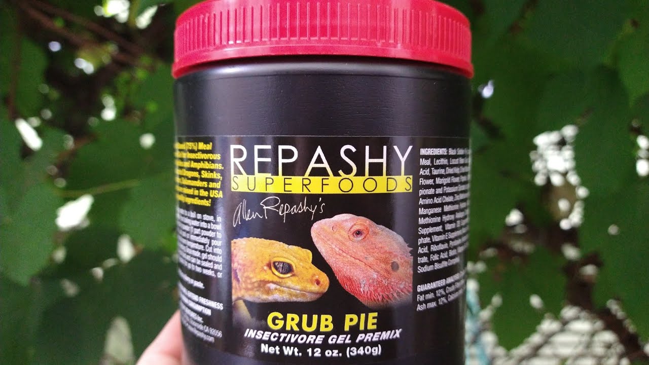 How to make Repashy's Grub Pie formula for your gecko!