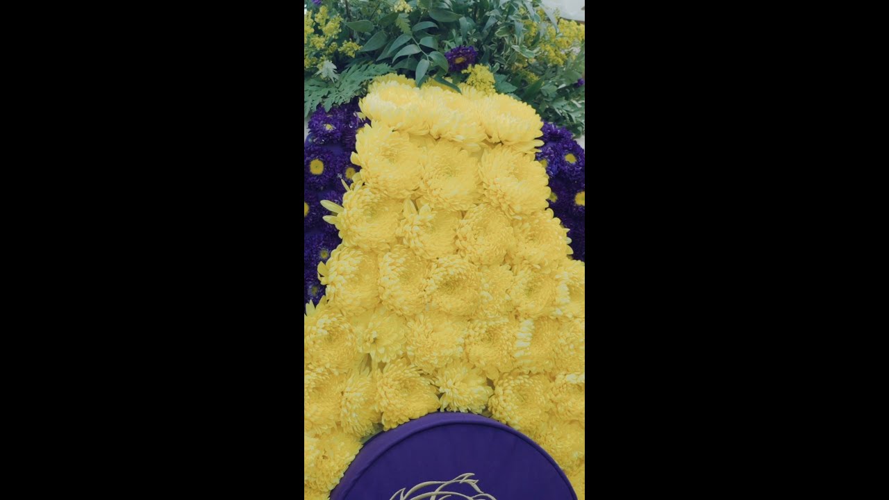 👑 Thorpedo Anna, our 2024 #BreedersCup Distaff Champion 👑