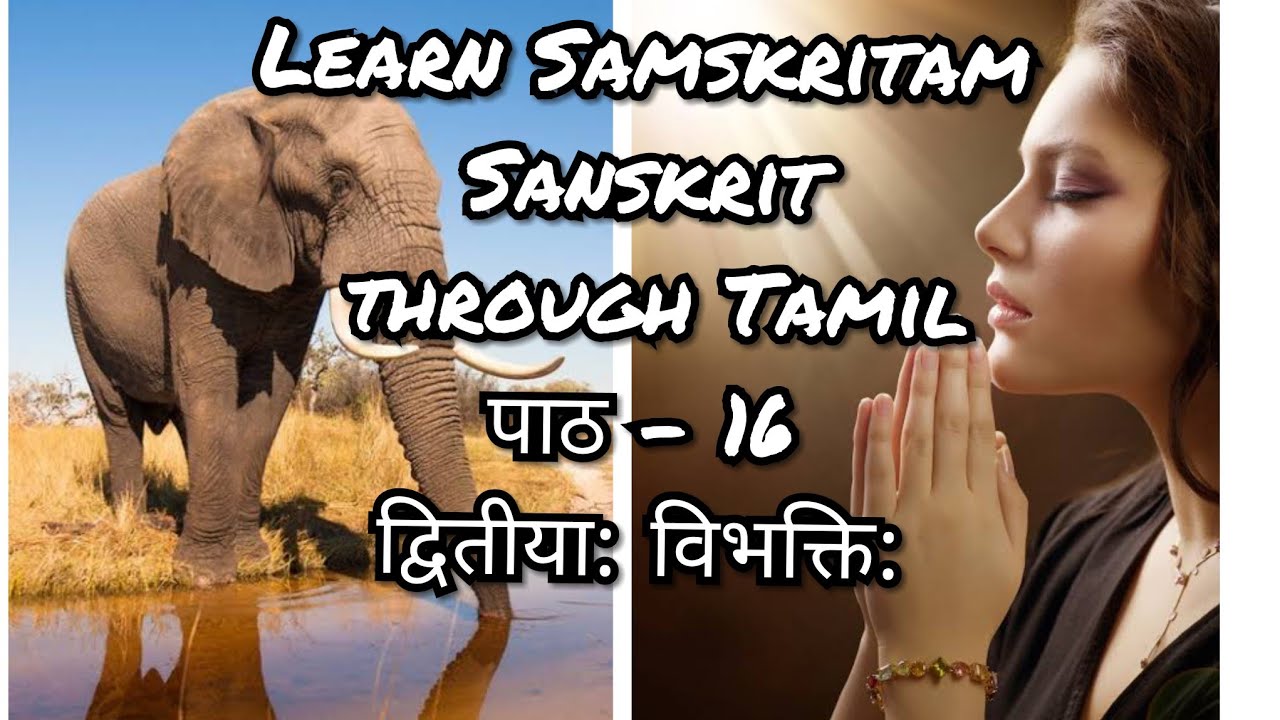 Samskrita Sri /Patamala-1/पाठ: 16/द्वितीया: विभक्ति:/ @AKSHARAMSAMSKRITAM