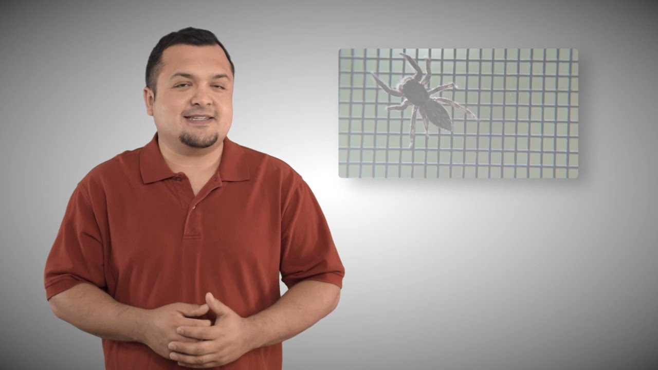 best pest control company in Arizona