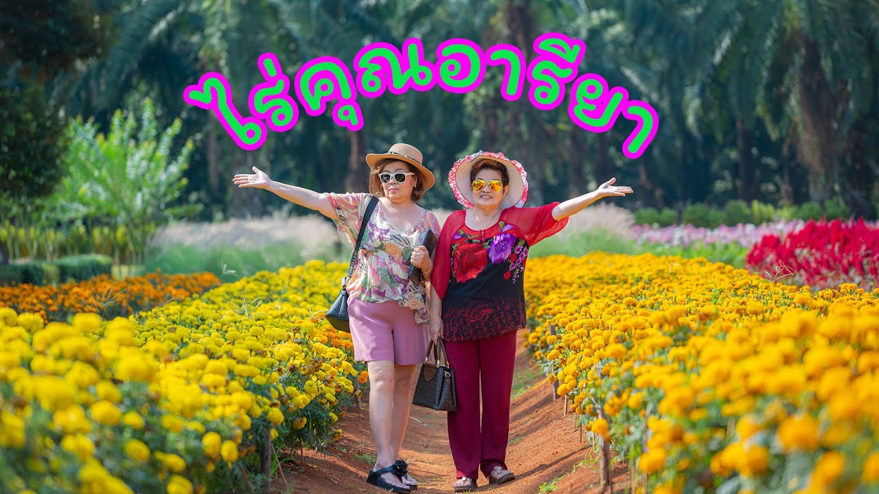 EP.70 ไร่คุณอารียา กระบี่