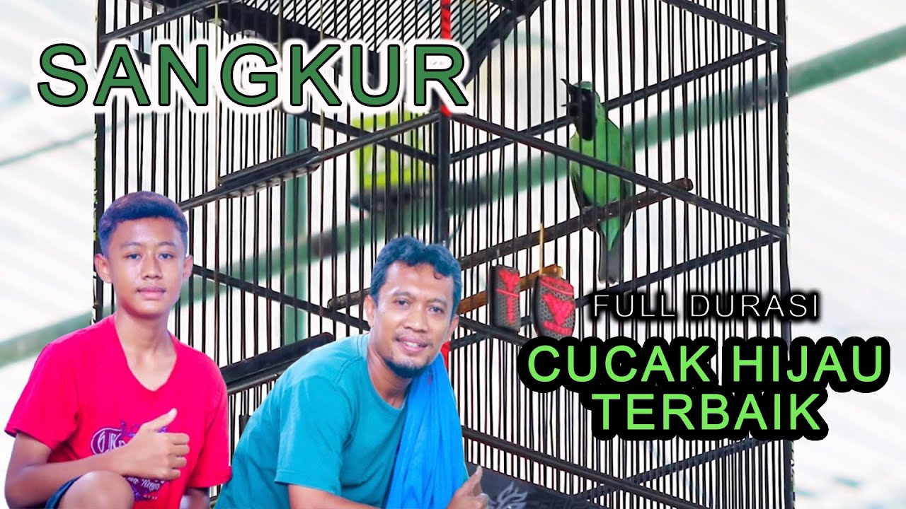 SANGKUR | MILIK BPK AFIQ Dari Rumah Kicau | Juara 1,1,4,5 + TERBAIK