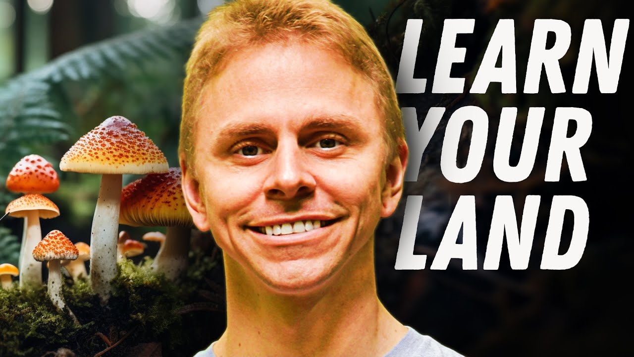 Understand Trees, Understand Everything w/ Adam Haritan