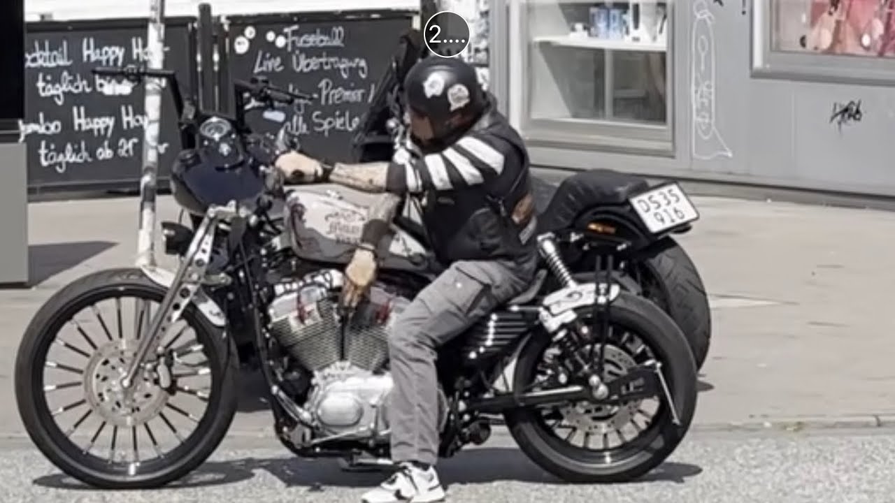 Harley, Best of 2024 and 2025 Part 8 #harley #custom