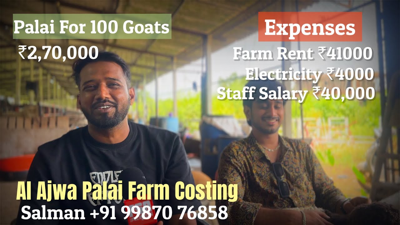 Al Ajwa Goat Farm Costing For 100 Goats Palai | Income vs Expenses
