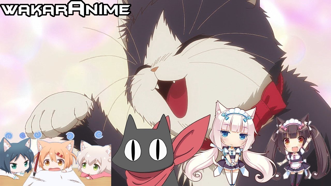 Cute Pets doing Funny Things in Anime | Cute Pets Montage