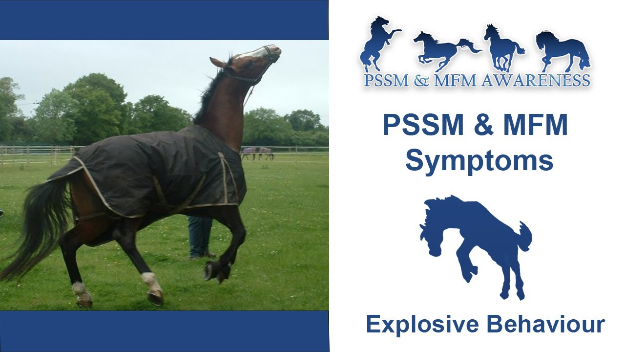 PSSM & MFM Symptoms- Explosive Behaviour