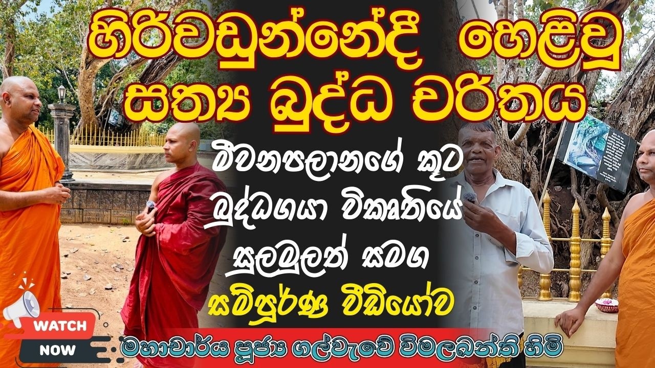 හිරිවඩුන්නේදී හෙළිවූ සත්‍ය බුද්ධ චරිතය l Truth Behind Meewanpalane’s Buddha Gaya Story