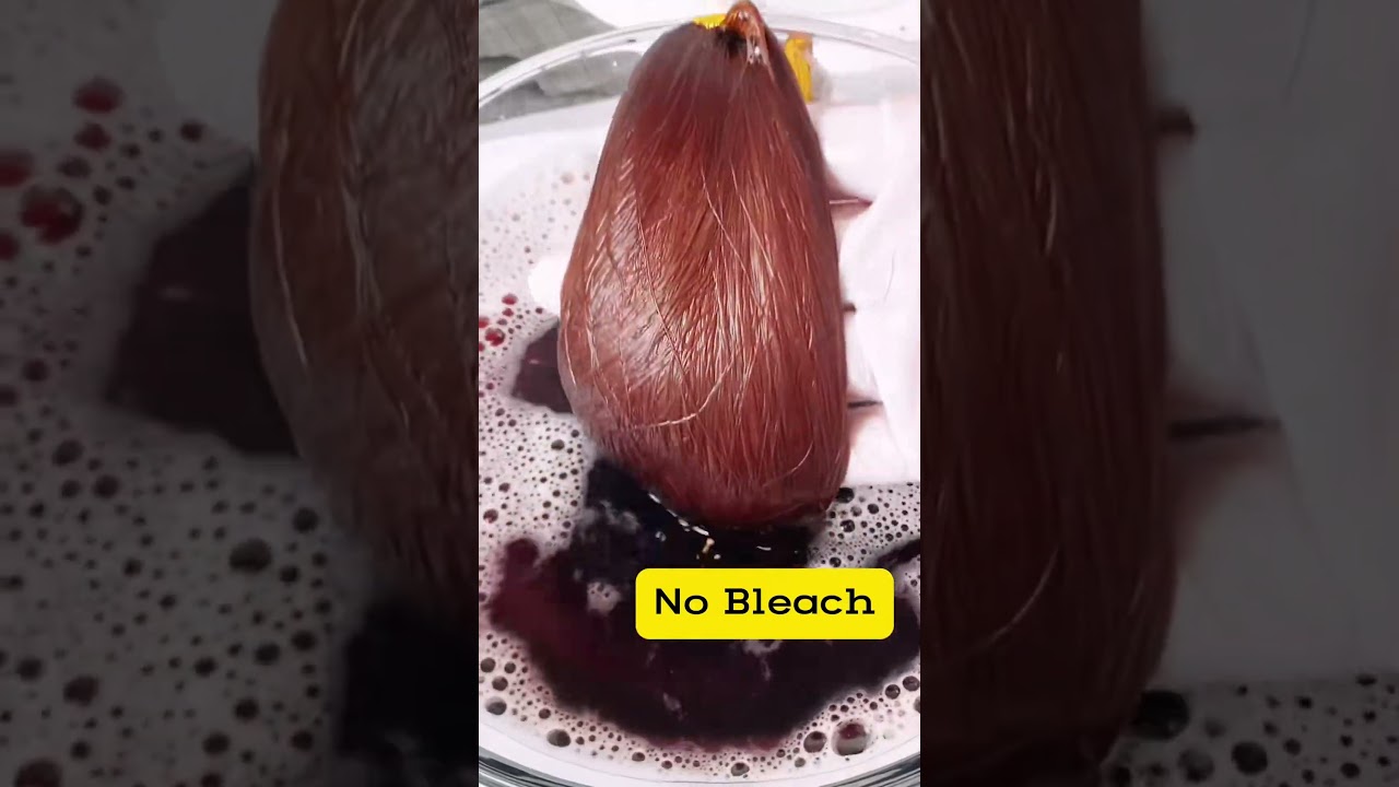 Chestnut Brown Hair Dye Shampoo, No Bleach Needed! #nobleach #haircolor