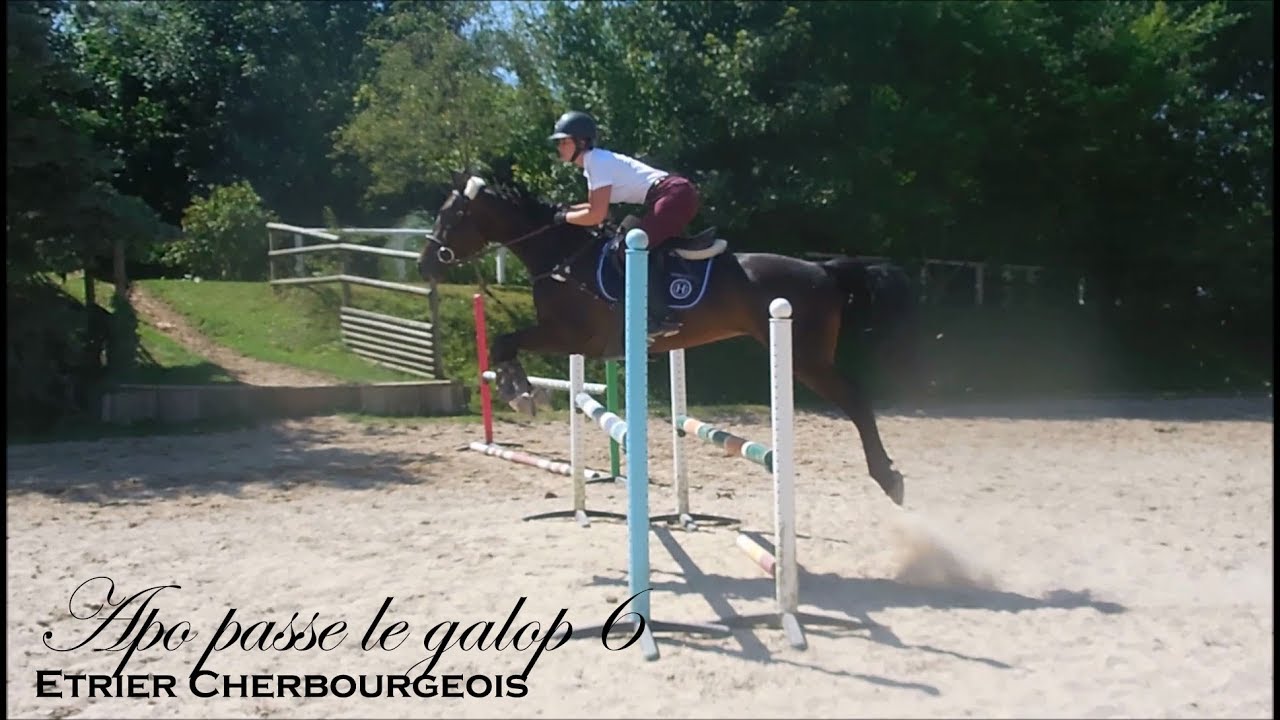 APO PASSE LE GALOP 6 - Dressage et Obstacle avec Baie - Etrier Cherbourgeois