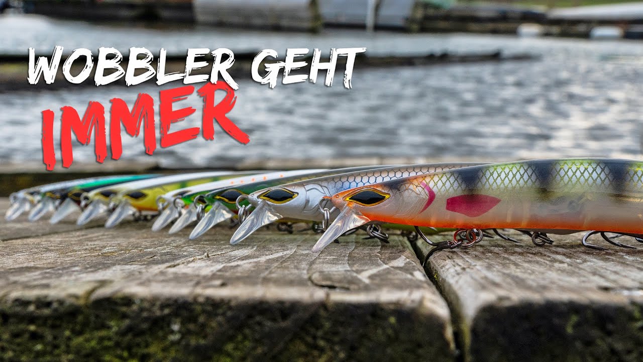 Die einfachste Art Zander zu fangen - Wobbler geht immer