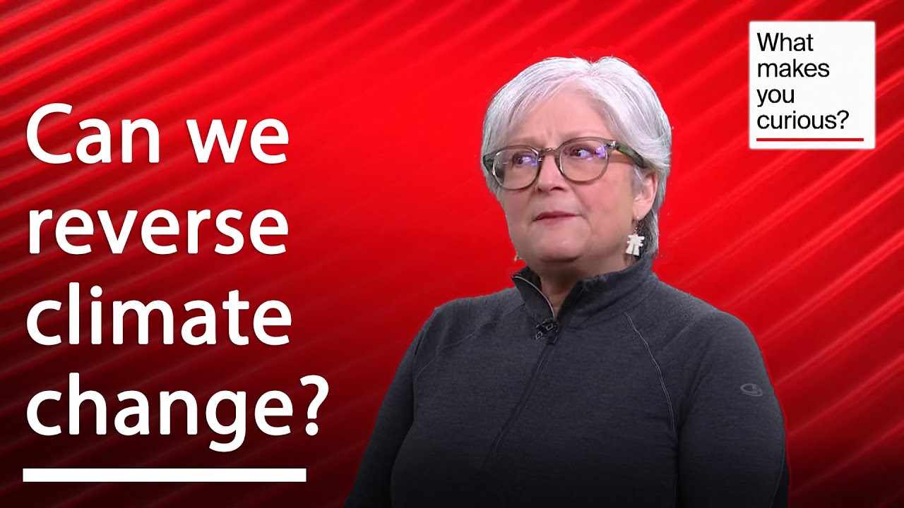 How Can We Reverse the Effects of Climate Change? | What Makes You Curious?