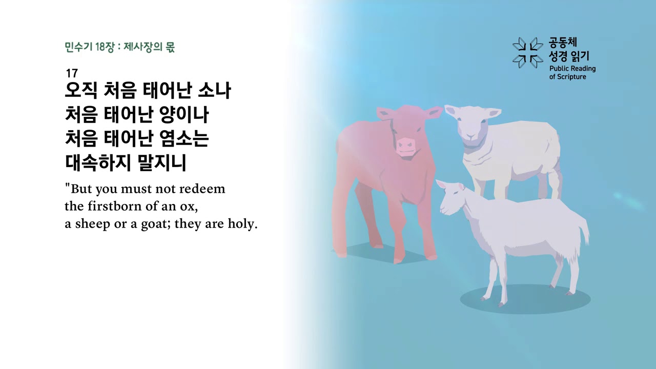 민수기 18장