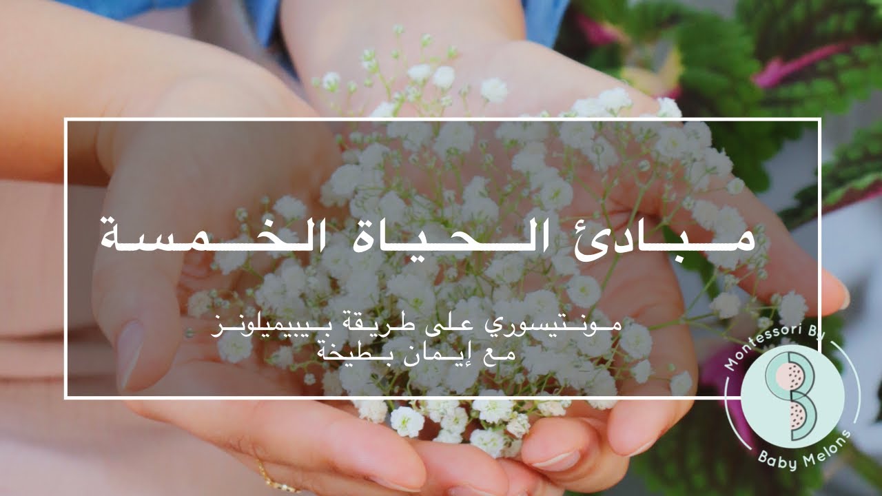 مبادئي الخمسة لحياة متوازنة بعيدة عن التذبذب | بيبيميلونز Baby Melons