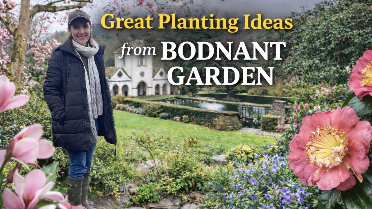 Bodnant Garden Spring Tour | One of Britain&rsquo;s Finest Historic Gardens