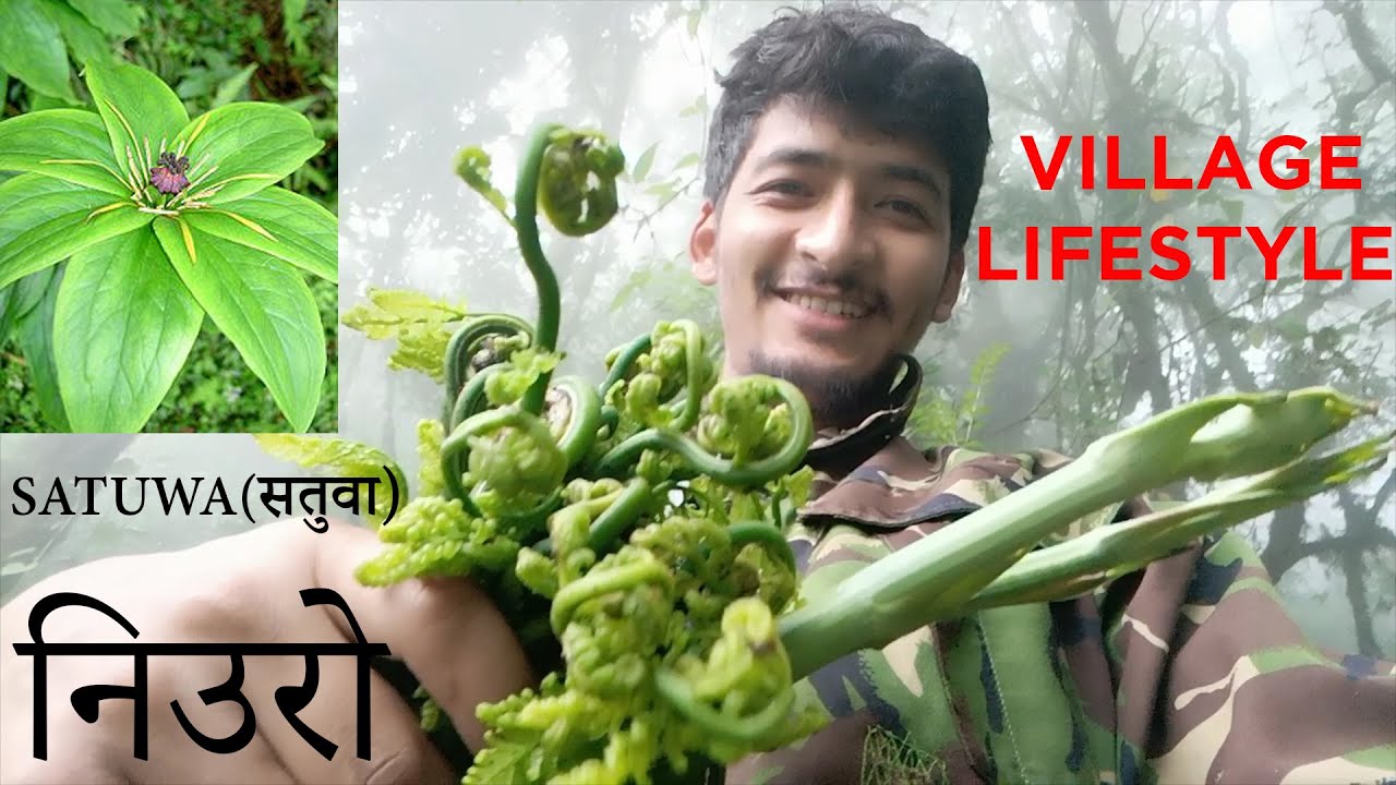 Village life of Nepal  ll Vlog ll Galkot ll Episode 02