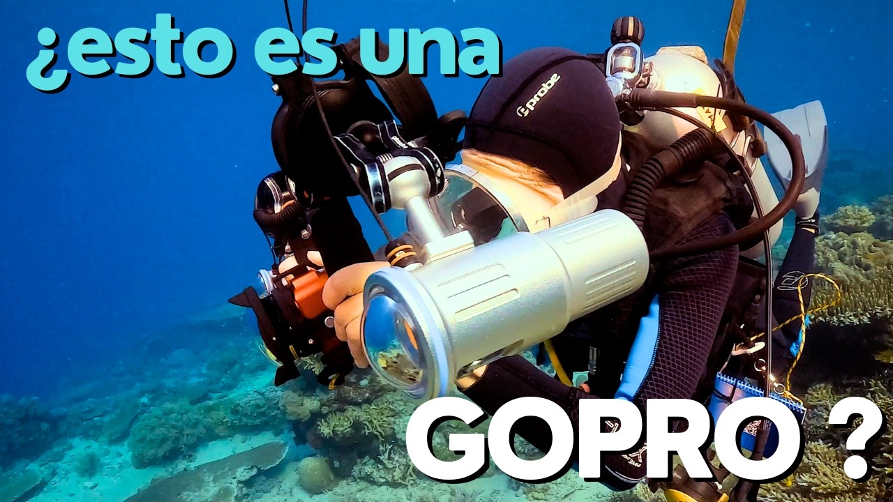 Configuración profesional de GoPro para buceo: Carcasa, lentes y focos para resultados increíbles