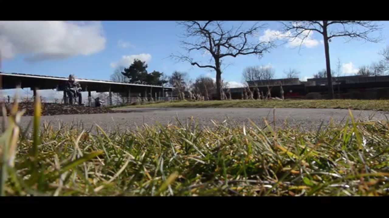 Zwei Welten - Schmiechtalschule Ehingen