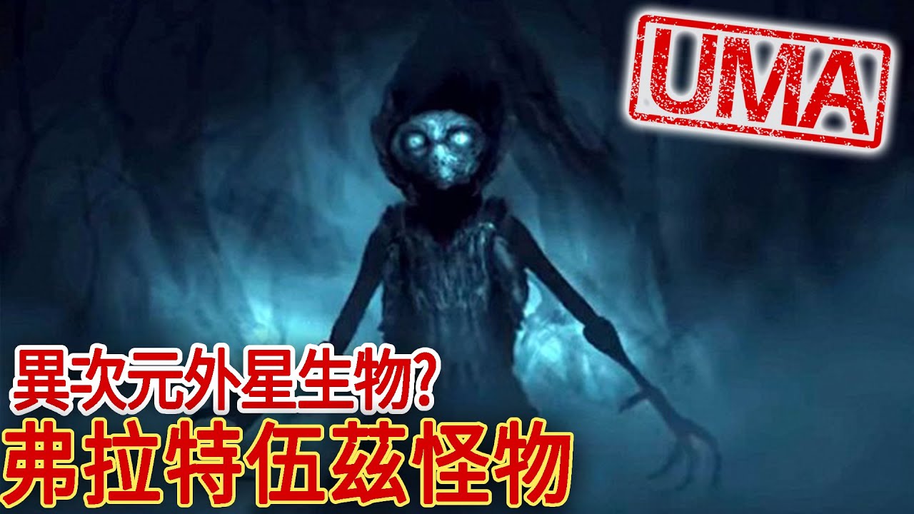 【UMA檔案】弗拉特伍茲怪物-來自異次元或外星的生物?!  Flatwoods Monster   |未確認生物|超自然|古文明|外星人|