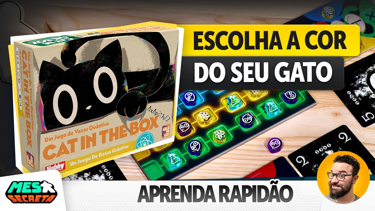 Cat in The Box: Deluxe | Aprenda Rapidão | Regras