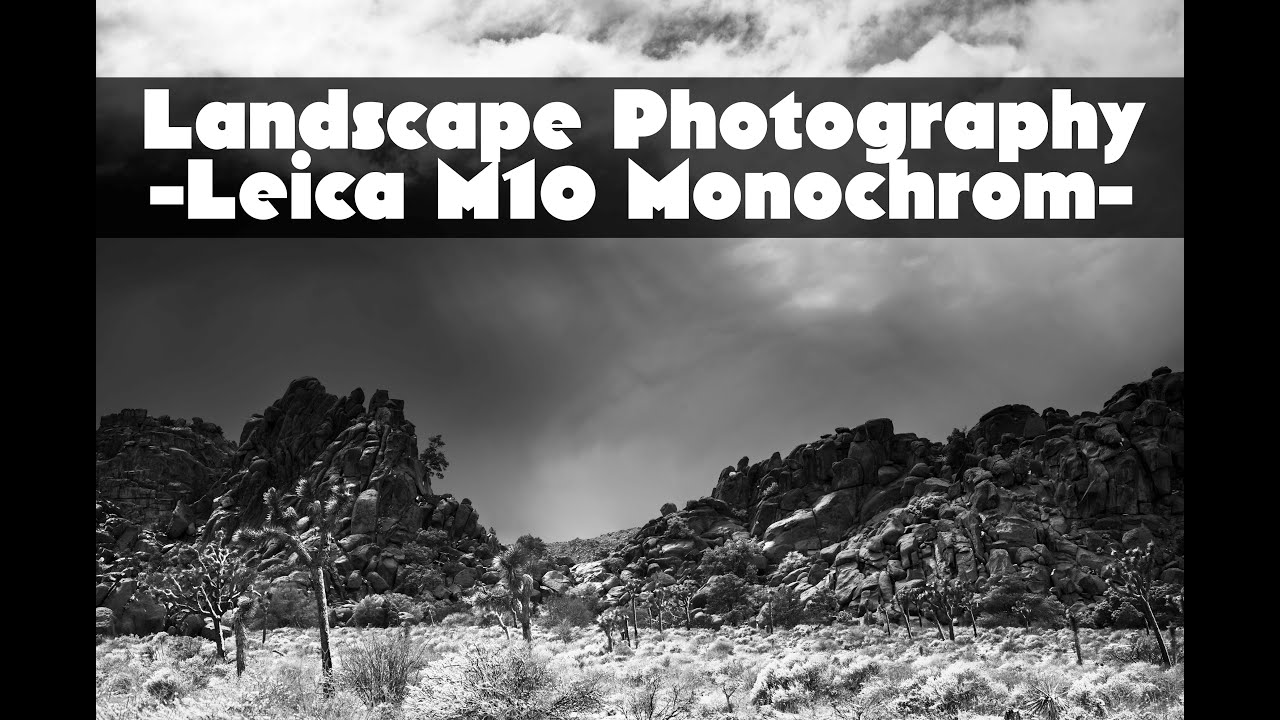 Joshua Tree Landscapes-Leica M10 Monochrom