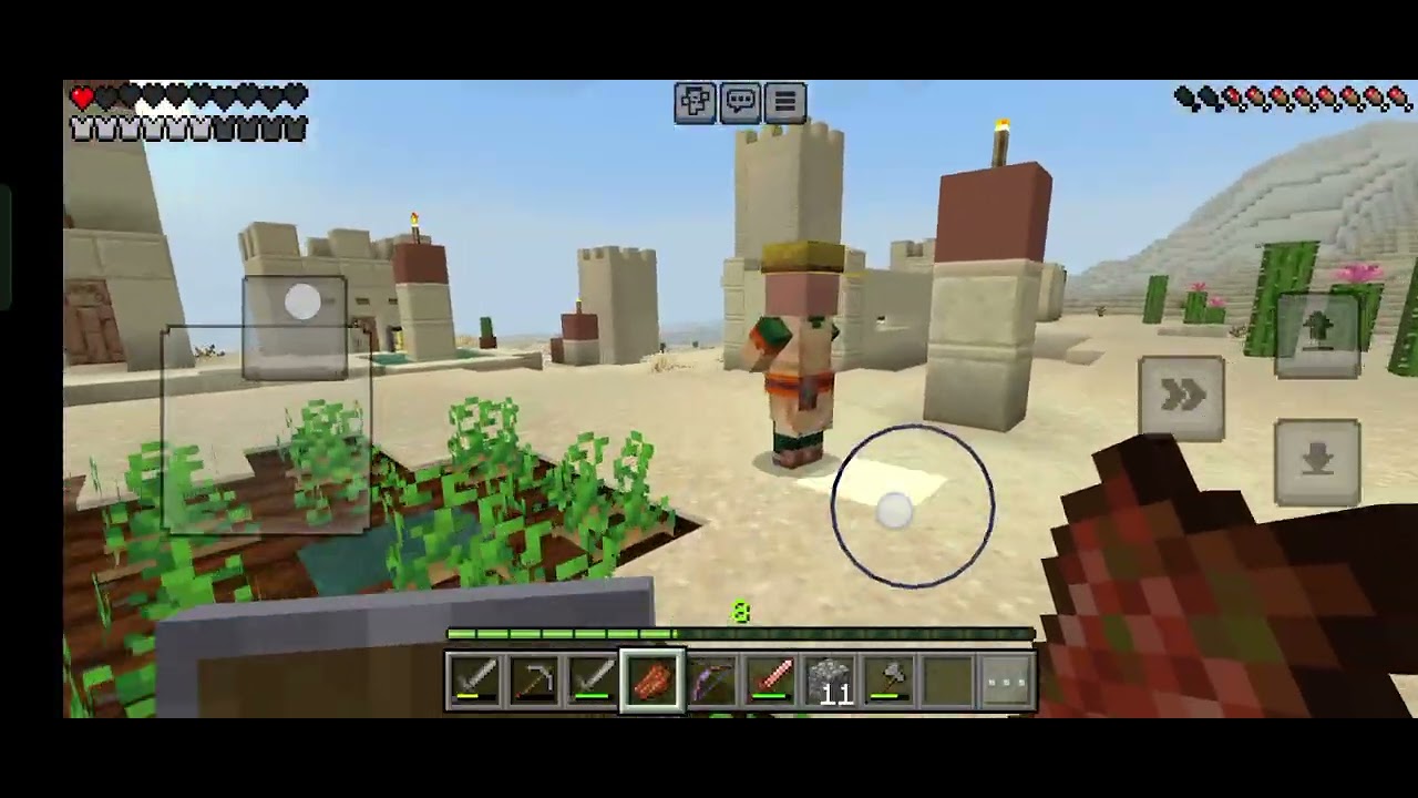 Minecraft Survival.