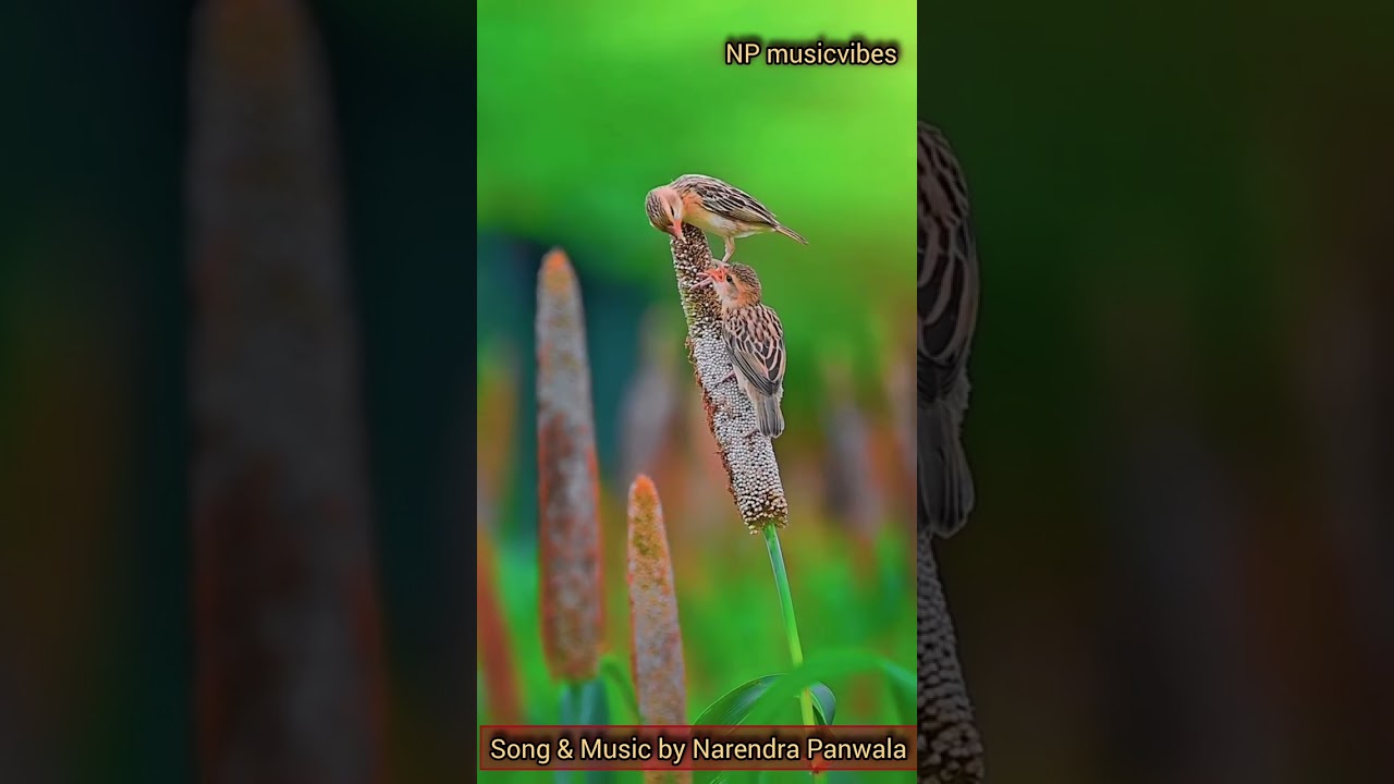जिंदगी से प्यार 