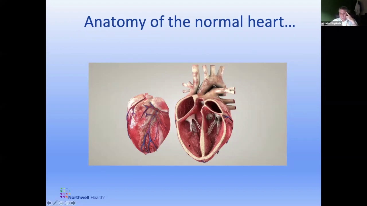 Cardiology Series: Dr. Nicholas Skipitaris 
