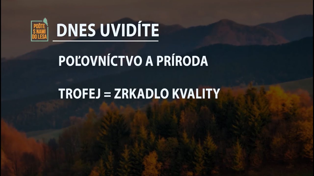 Poďte s nami do lesa 12/2022