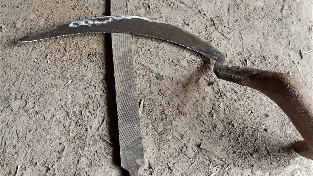 A rusty old file turn into Hand Sickle for farming. #handmade #forging #sickle