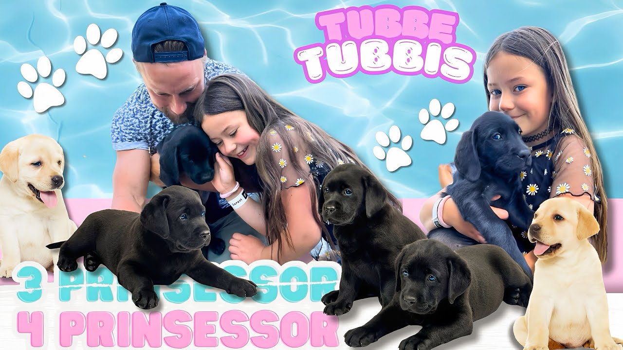 Vi hämtar en hundvalp🐾🐕‍🦺💙 - 3prinsessor VLOGG