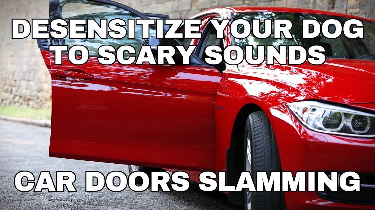 Dog&nbsp;Desensitization&nbsp;Sounds&nbsp;for Dogs & Puppies: Car Doors Slamming