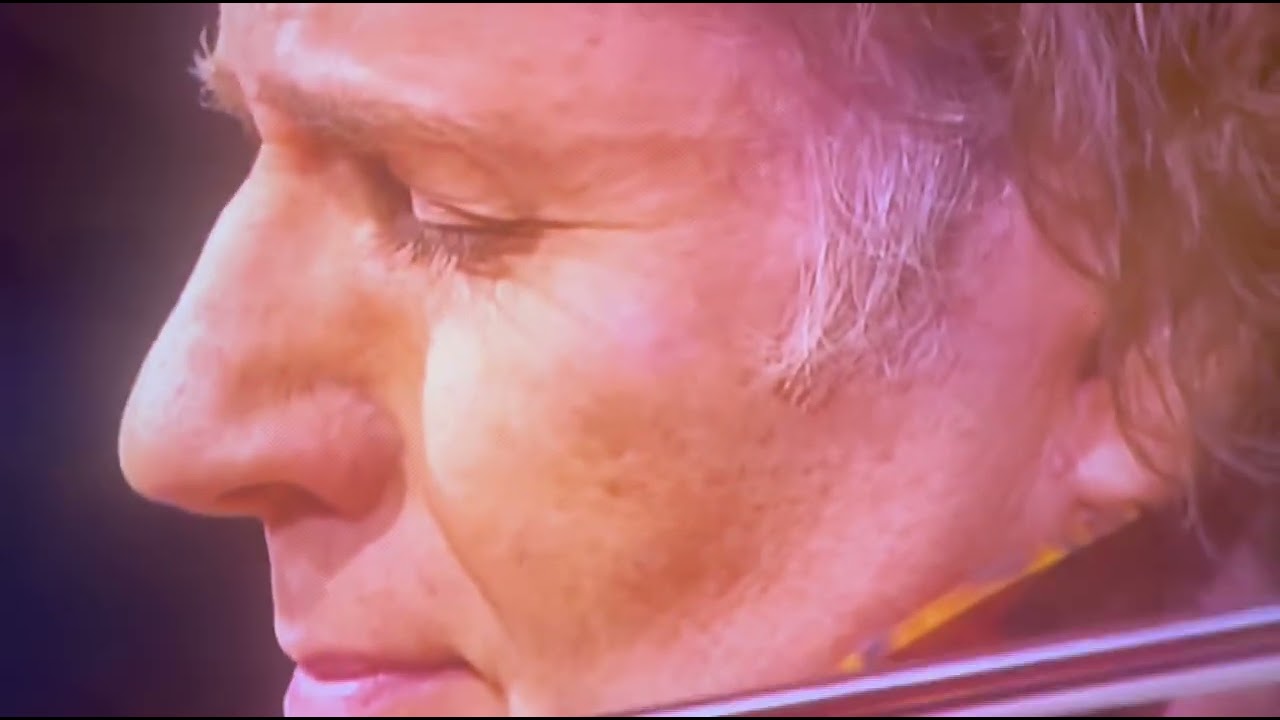 FANTASTIC PERFORMANCE BY ANDRE RIEU #love #singer #celebrity #star #rockstar  #musician #melody 