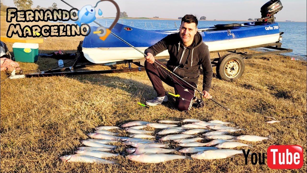 Pejesaurios en La Orfilia!