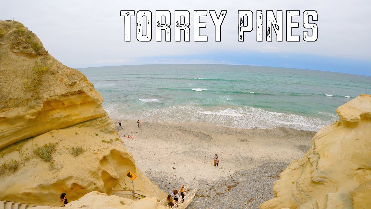 4k Walking Tour - Torrey Pines (2023) - [Virtual Tour] - San Diego, CA (USA)