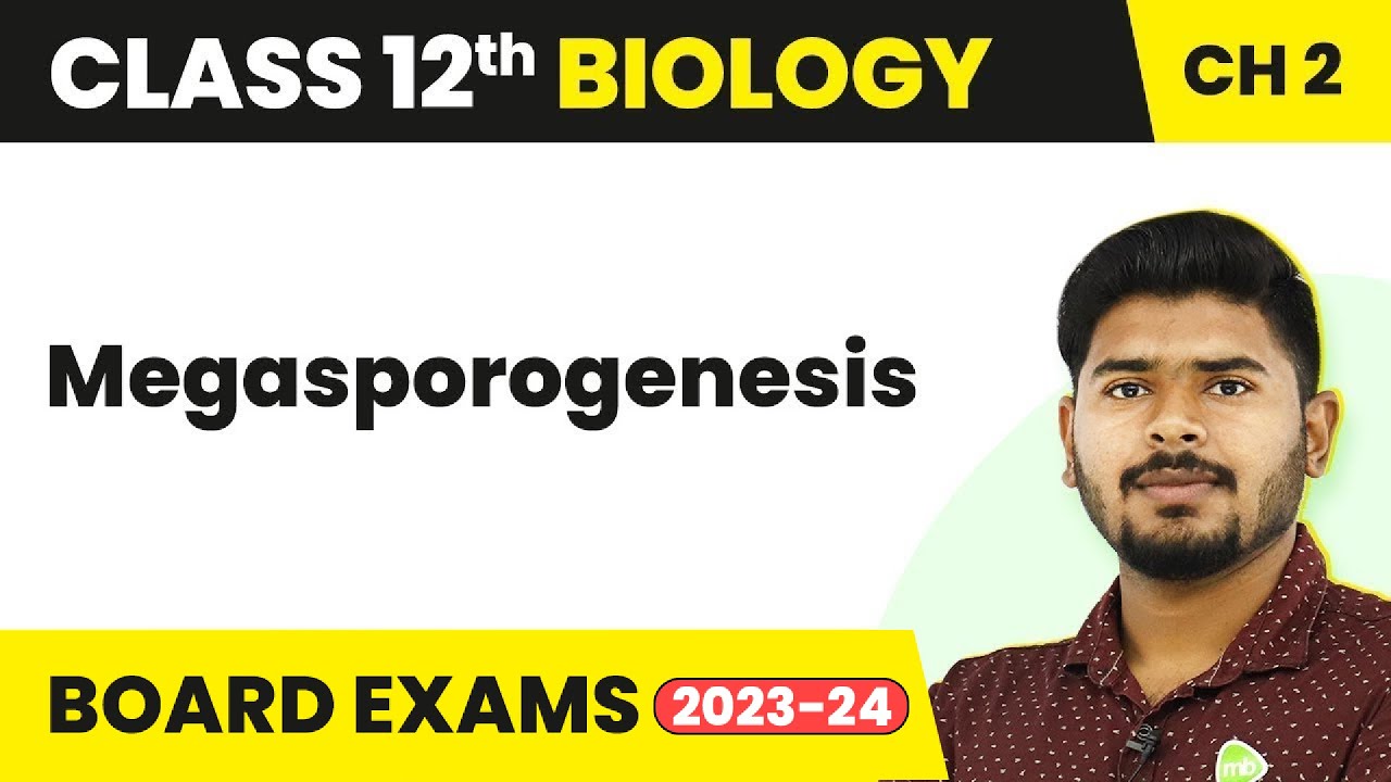 Megasporogenesis - Sexual Reproduction in Flowering Plants | Class 12 Biology (2022-23)