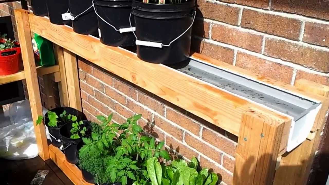 My Balcony Garden ...