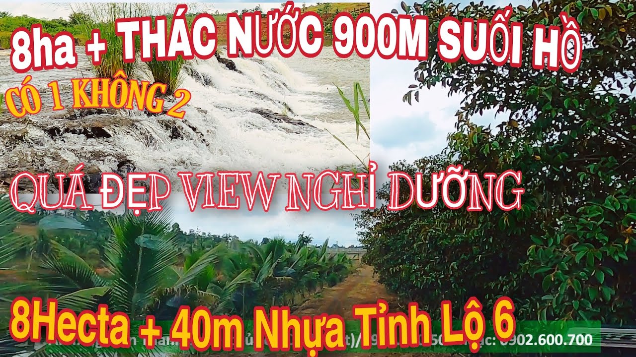 8Ha THÁC NƯỚC +40m TỈNH LỘ 6.ĐT 0834.355.755  VIEW ĐẸP NHẤT xã Nâm Njang Đắk Song Đắk Nông 7,5Ty