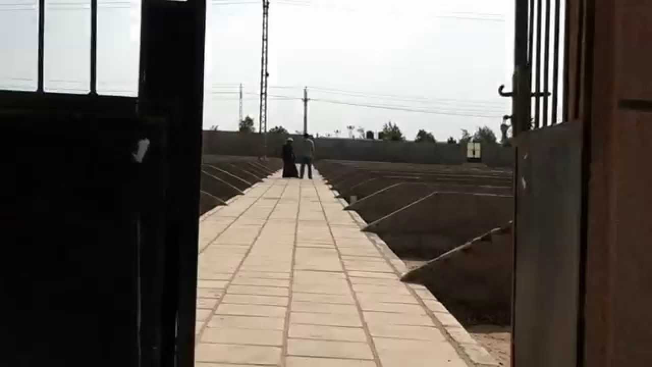 20140606 مقابر شرعية