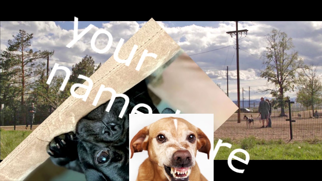 Epic Free Intro: Dog park