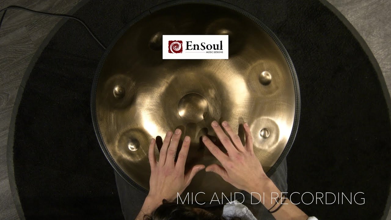 EnSoul Pan Pickup External 10