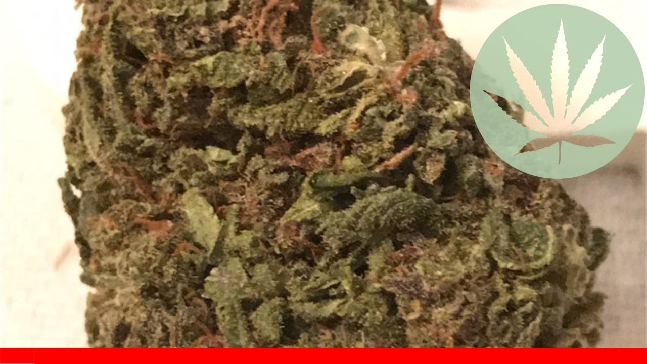 Cuvee - All About This Strain
