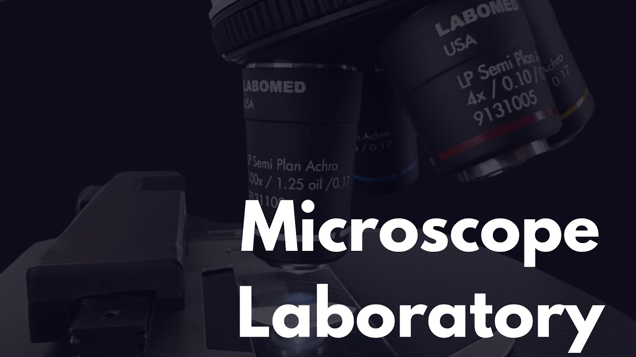 Microscope Laboratory