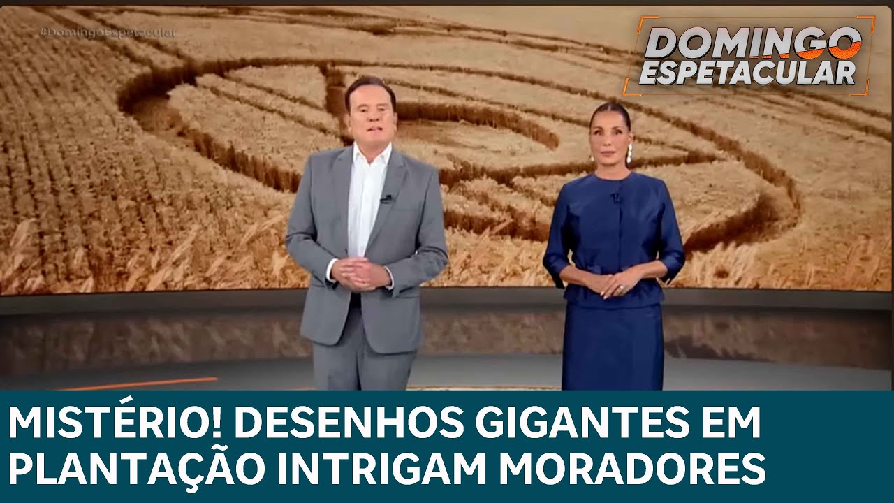 Mistério! desenhos gigantes em plantação intrigam moradores do interior de Santa Catarina