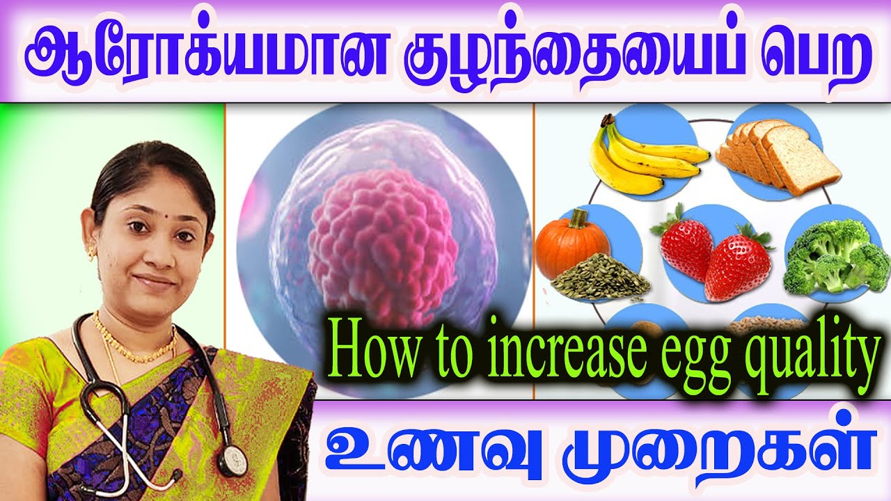 கருமுட்டைகள் வளர்வதற்கான உணவு முறைகள் Egg Quality improvement foods chart for Healthy Pregnancy?