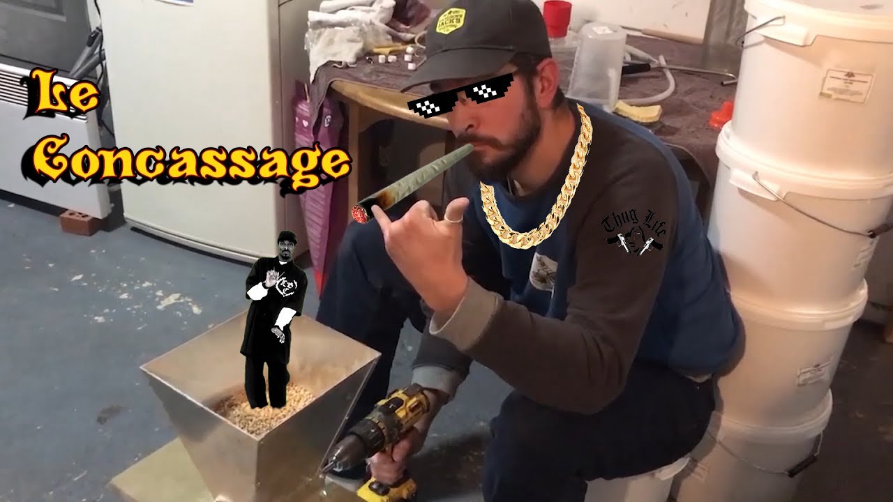 Brassin étape 2 : le concassage !
