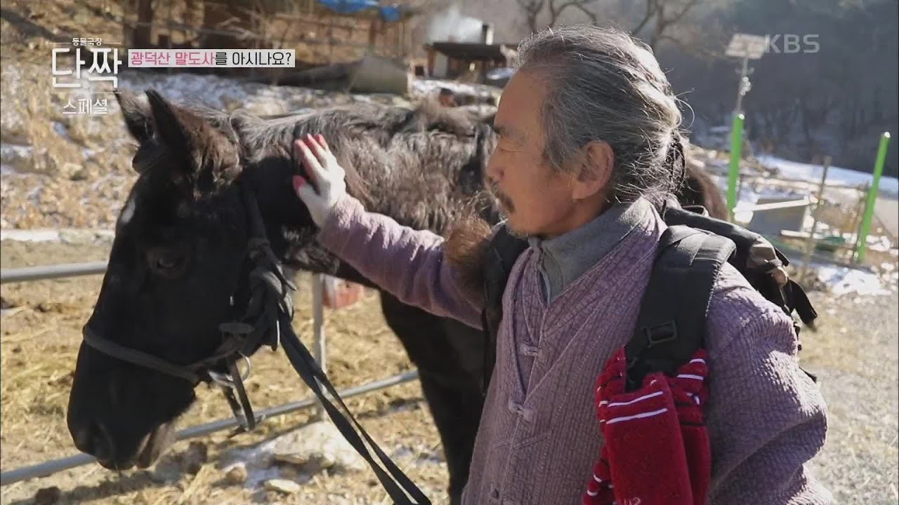 광덕산 말도사를 아시나요? [동물극장 단짝] | KBS 221224 방송