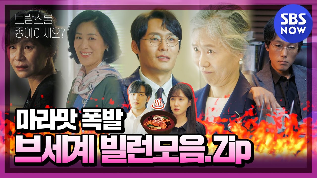 [브람스를 좋아하세요?] ※ 딥빡주의 ※ '마라맛 폭발♨ 브세계 빌런 모음.Zip' / 'Do You Like Brahms?' Special | SBS NOW