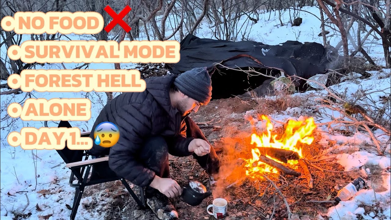 24 Hours Without Food in the Forest #bushcraft
