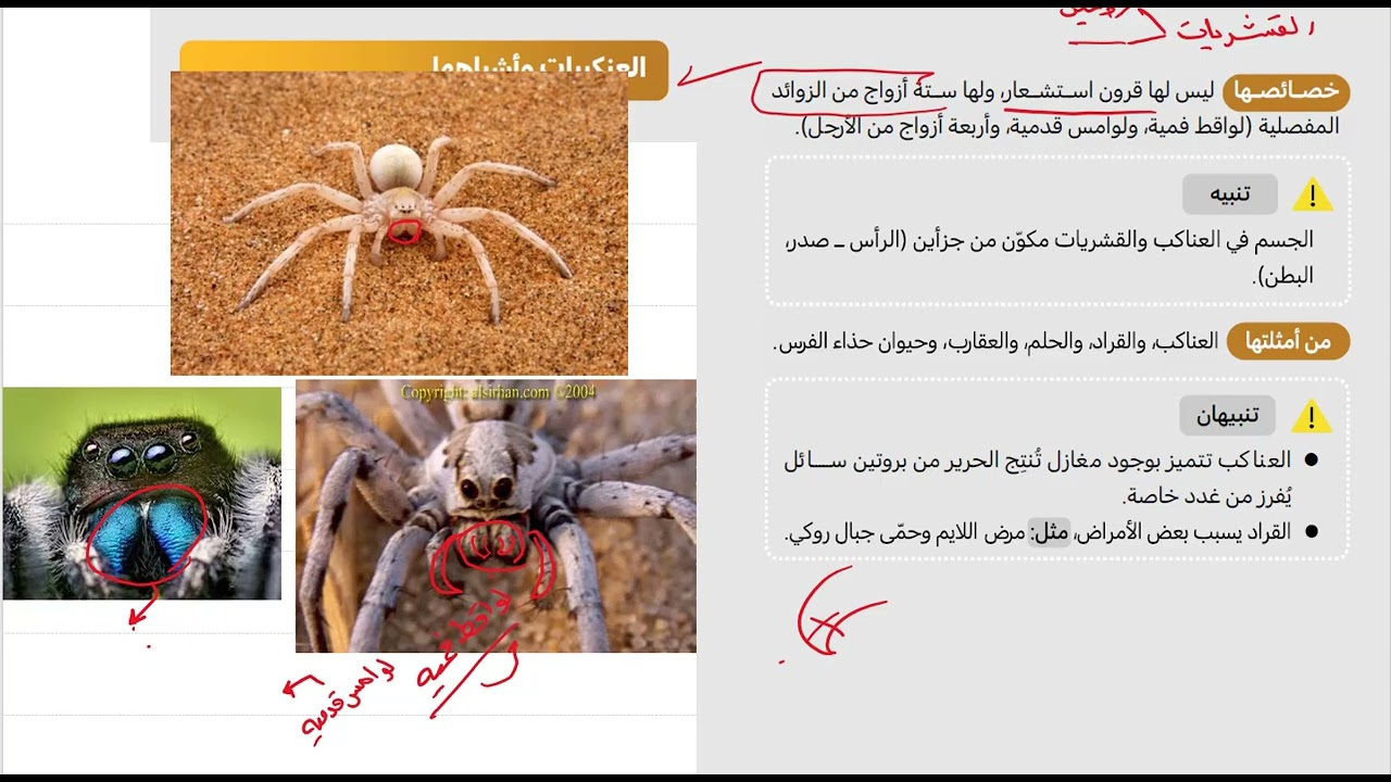 19- شرح كتاب ناصر عبدالكريم 2025 أحياء الدرس الرابع المفصليات ج2